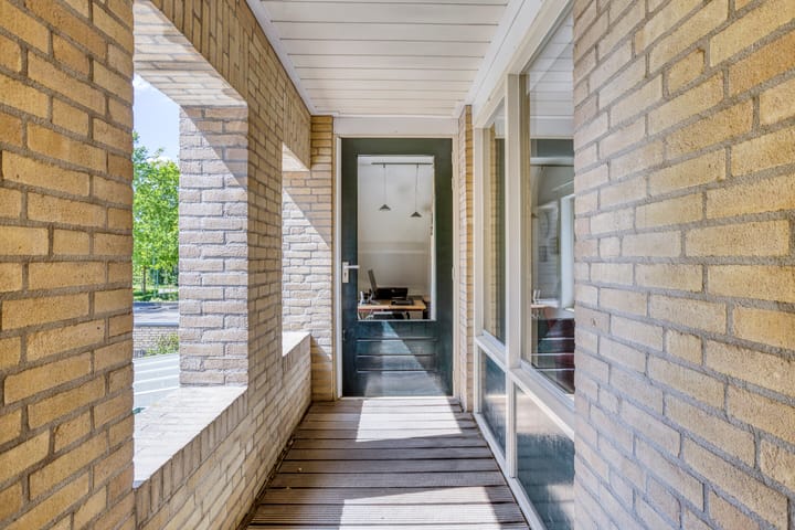 Foto 28 van Zaaiviool 10