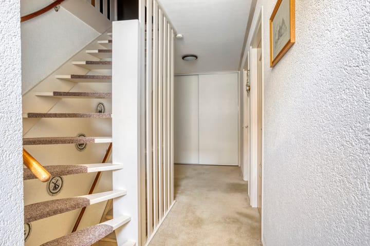 Foto 29 van Zaaiviool 10