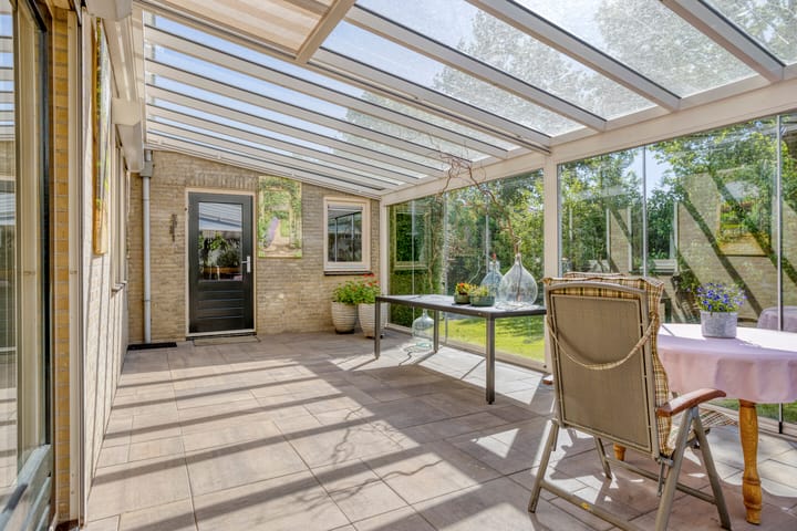 Foto 37 van Zaaiviool 10