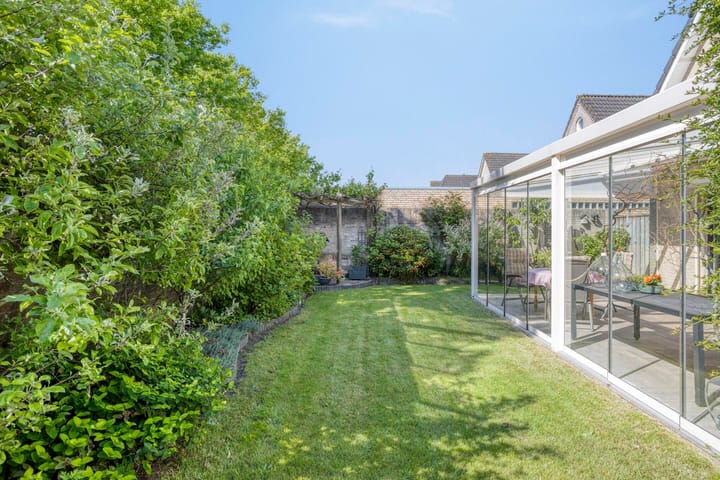 Foto 38 van Zaaiviool 10