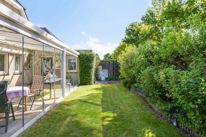 Foto 39 van Zaaiviool 10