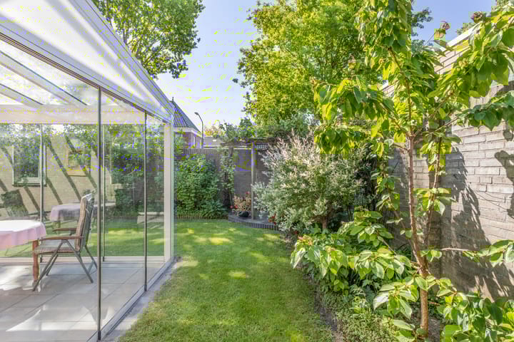 Foto 40 van Zaaiviool 10