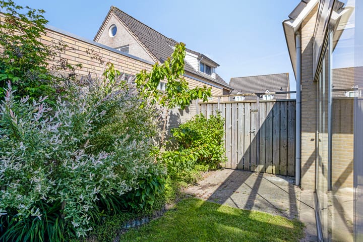 Foto 41 van Zaaiviool 10