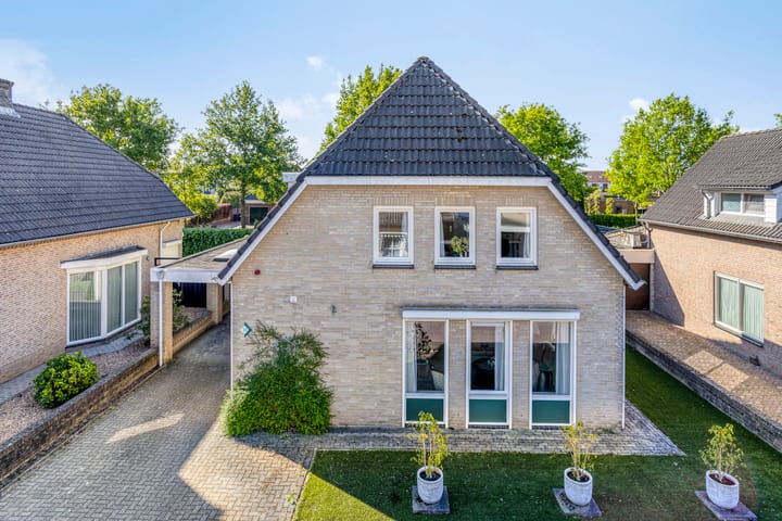 Foto 43 van Zaaiviool 10