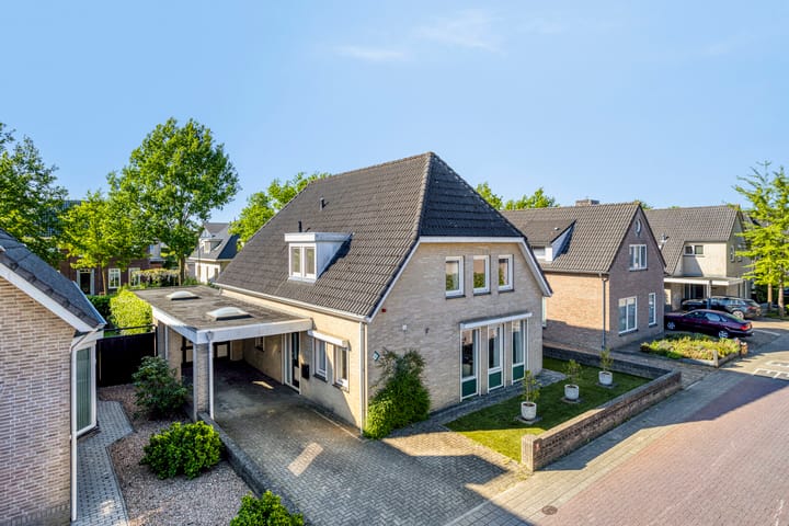 Foto 44 van Zaaiviool 10