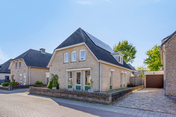 Foto 45 van Zaaiviool 10