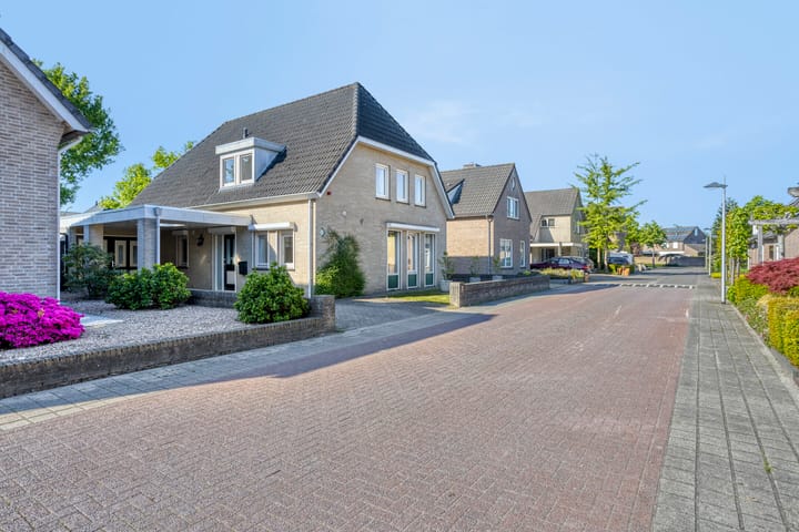 Foto 46 van Zaaiviool 10