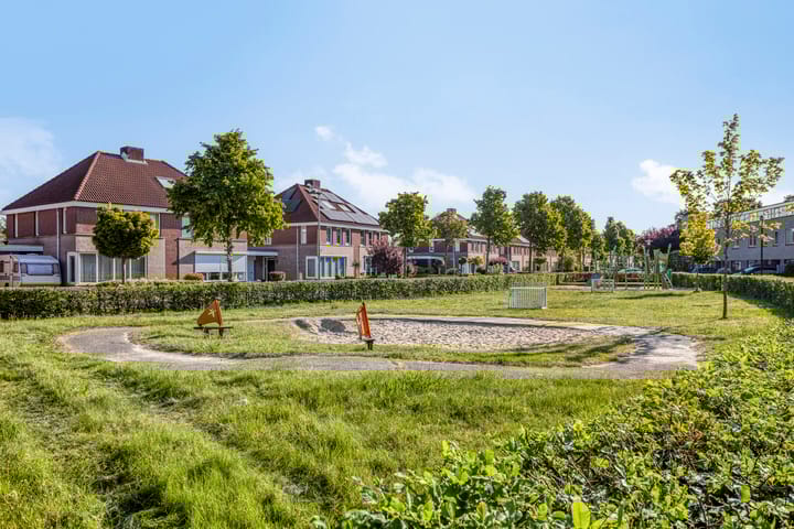 Foto 47 van Zaaiviool 10