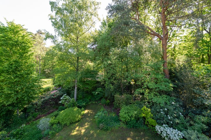 Foto 43 van Gerard Doulaan 30