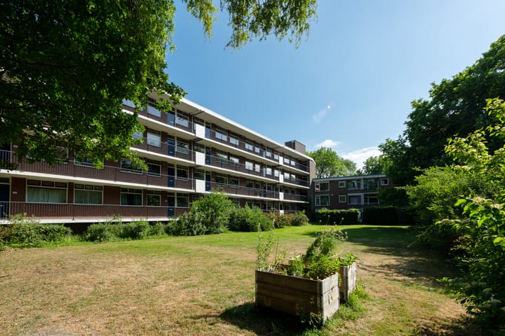 Foto 23 van Thorbeckestraat 284