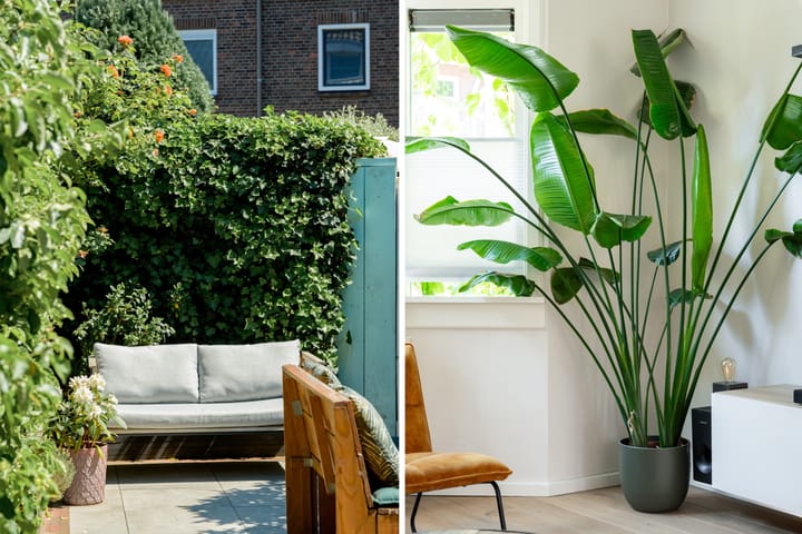 Foto 41 van Fazantstraat 19