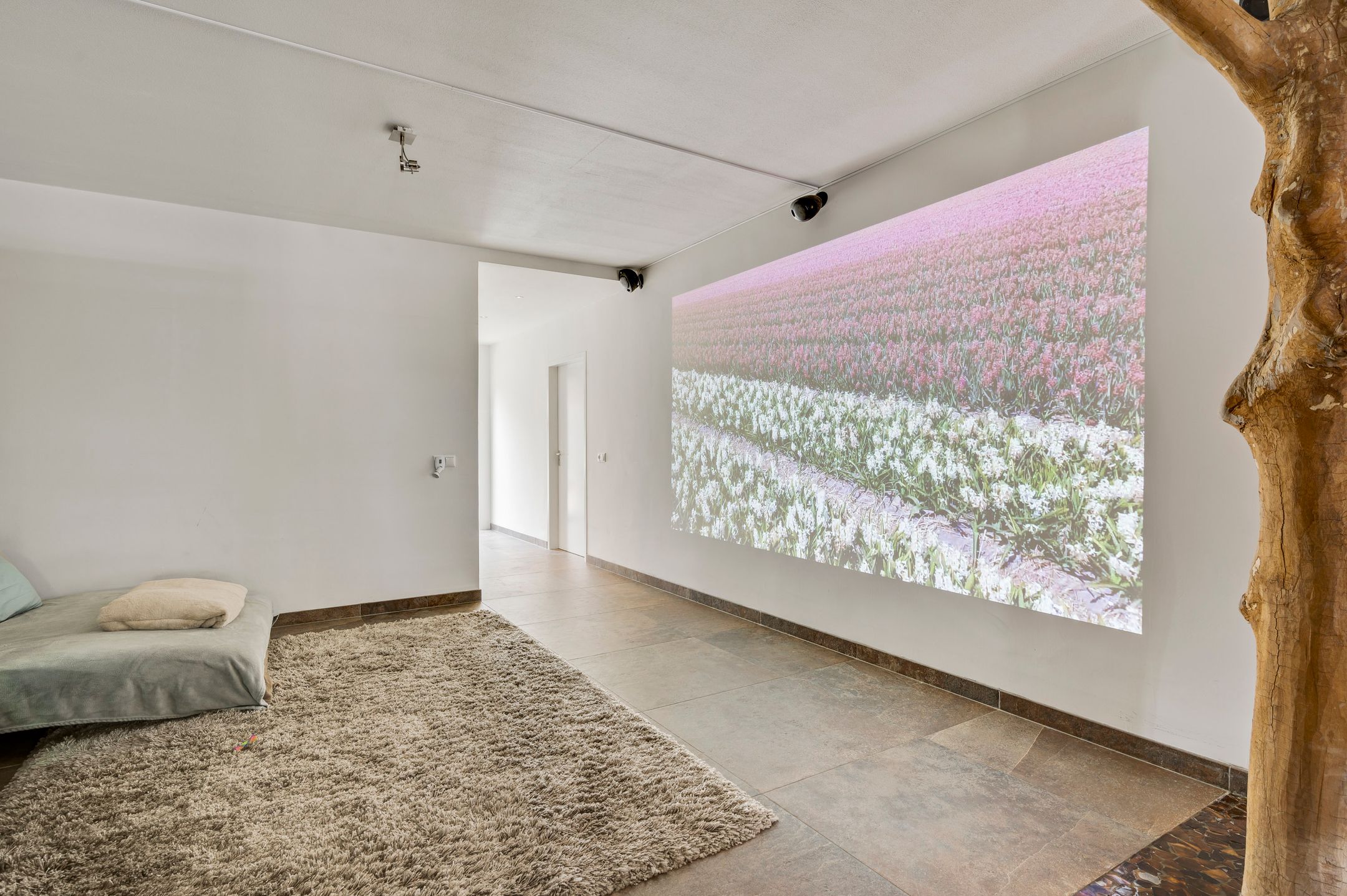 Foto 15 van Scheijmansplein 19