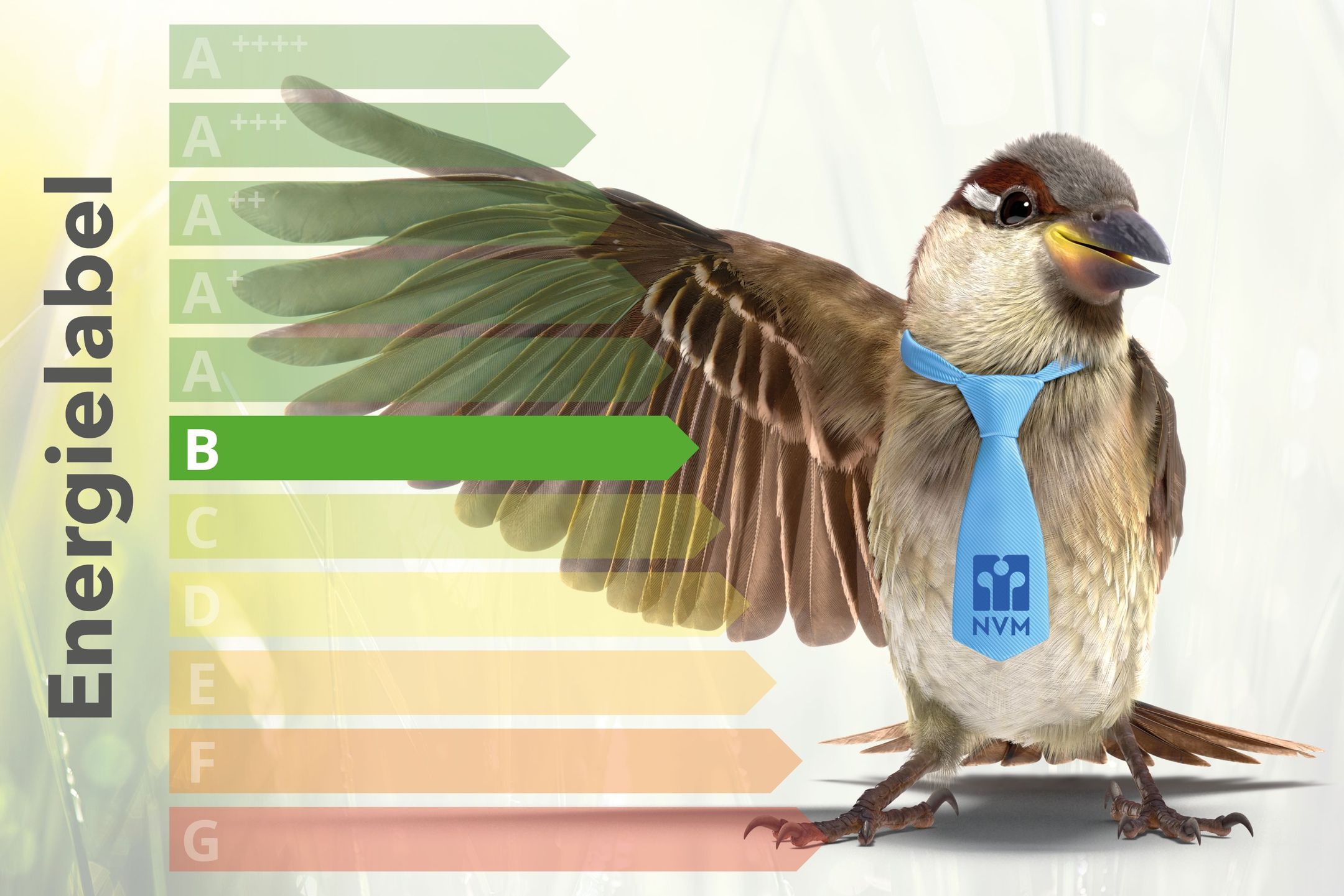 Foto 45 van Scheijmansplein 19