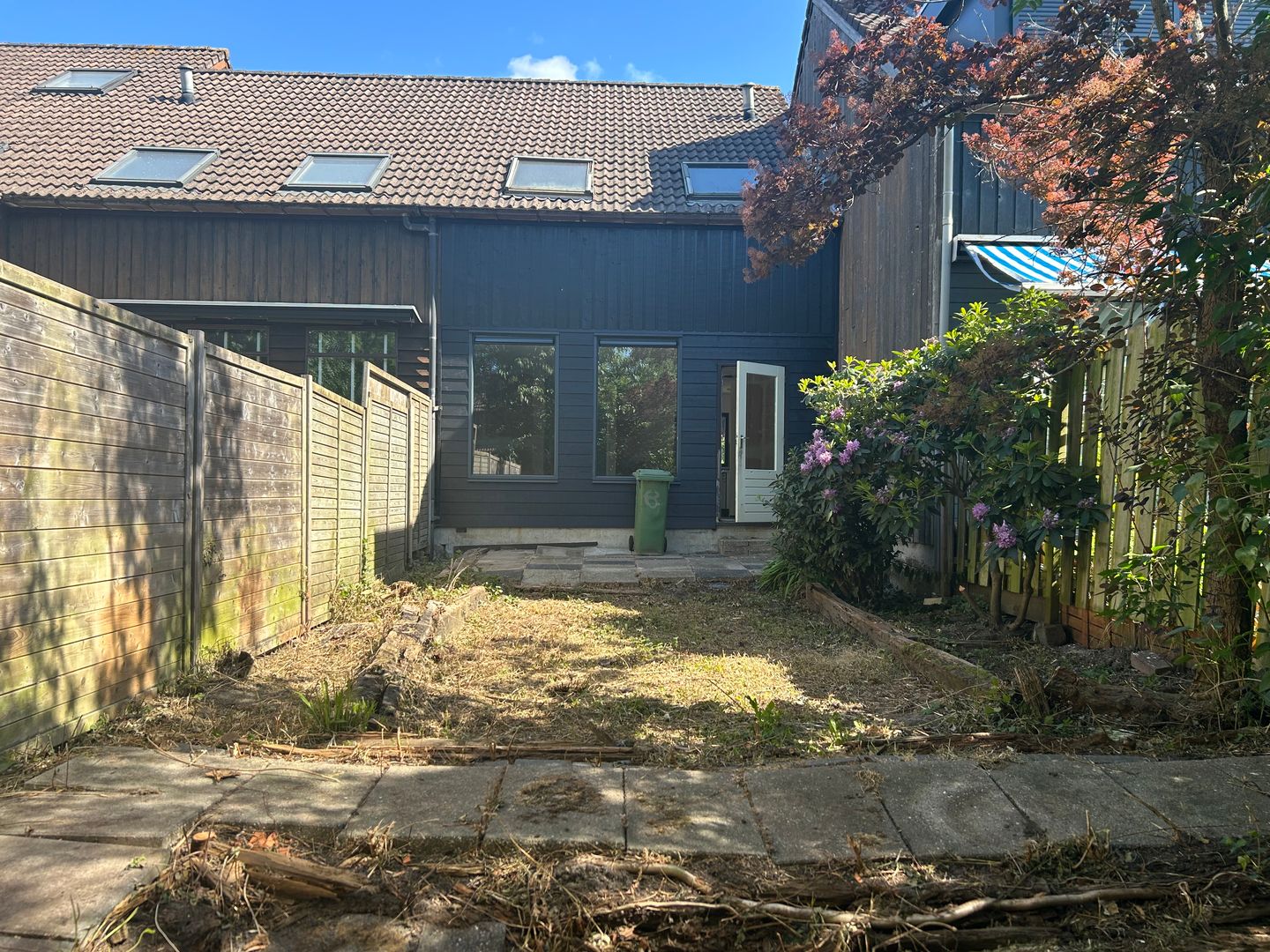 Foto 10 van Boomkruiper 8