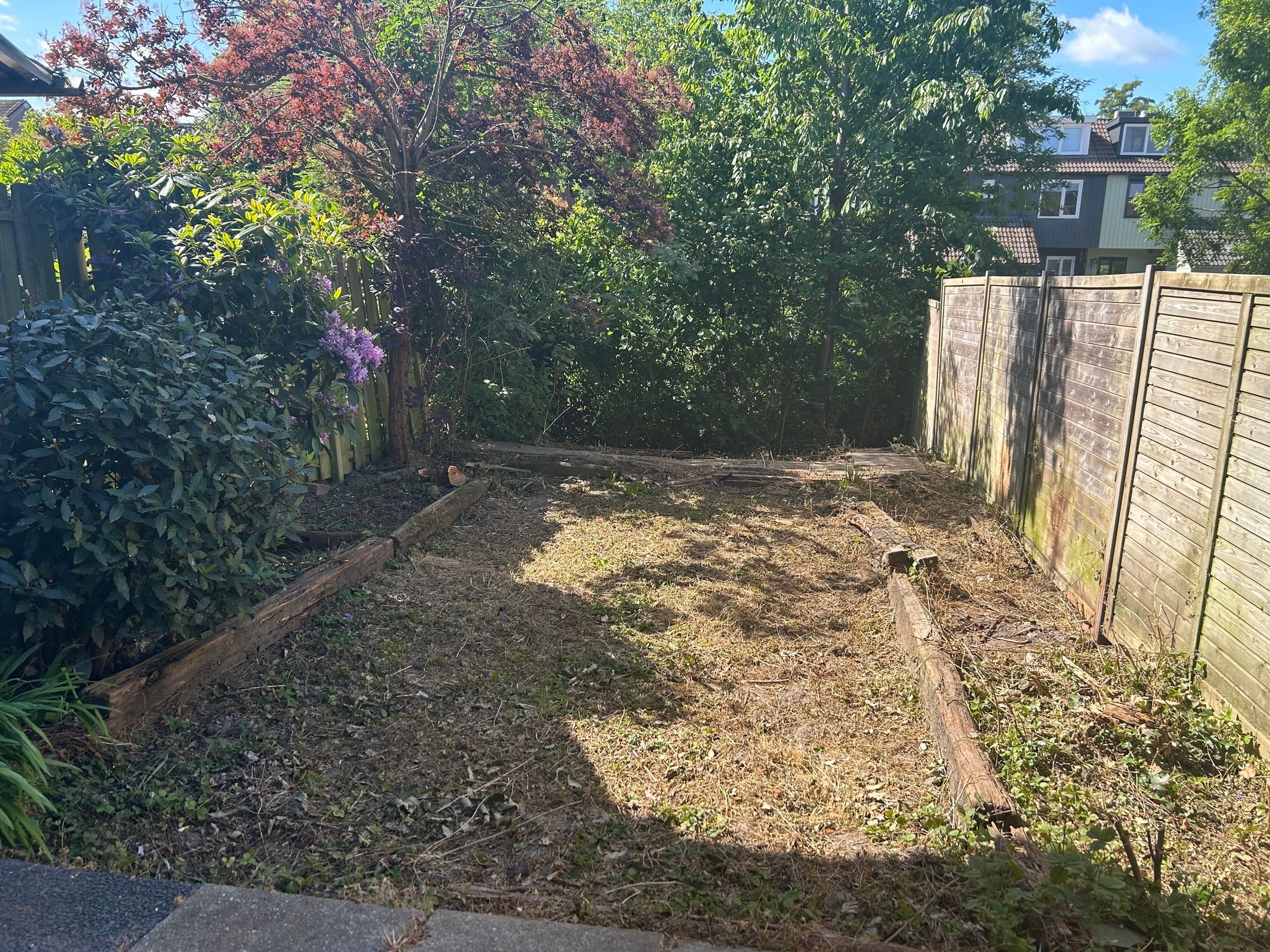 Foto 12 van Boomkruiper 8