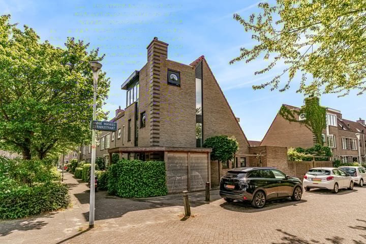 Foto 1 van Anna Blamanstraat 136