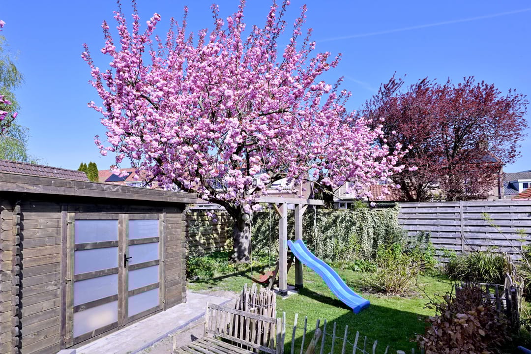 Foto 46 van Weg naar Voorst 1-C