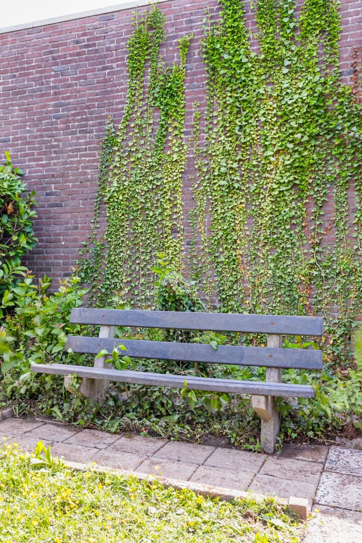 Photo 35 of Bleijerheiderstraat 111