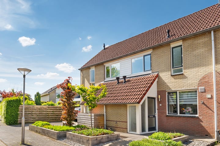 Foto 1 van Kalmoes 20