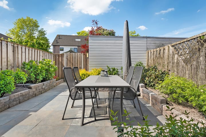 Foto 2 van Kalmoes 20