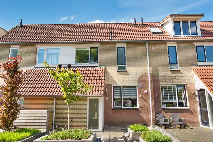 Foto 35 van Kalmoes 20