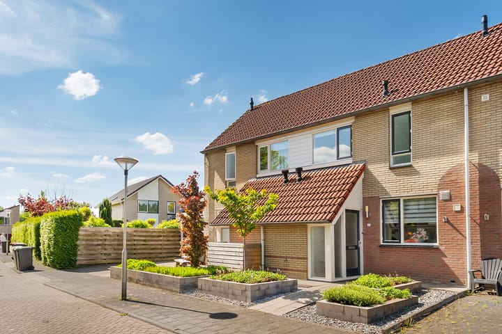 Foto 36 van Kalmoes 20