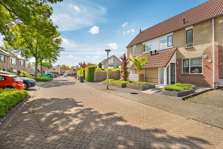 Foto 37 van Kalmoes 20