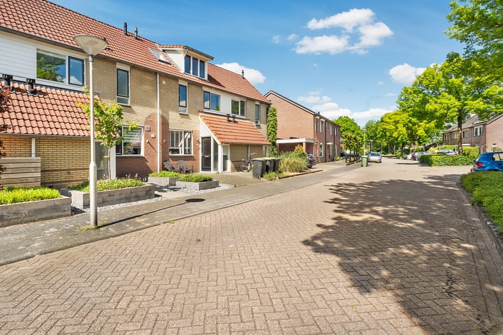 Foto 38 van Kalmoes 20