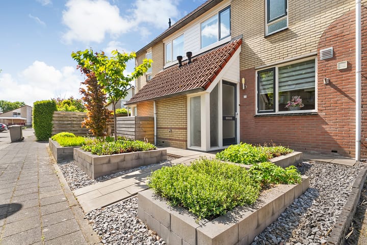 Foto 39 van Kalmoes 20