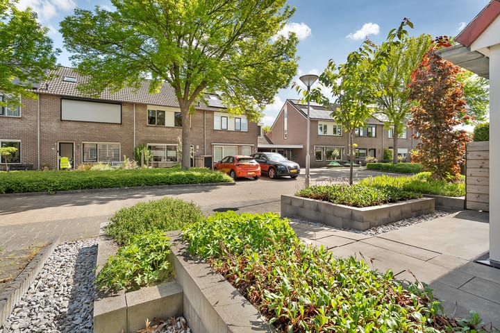 Foto 40 van Kalmoes 20