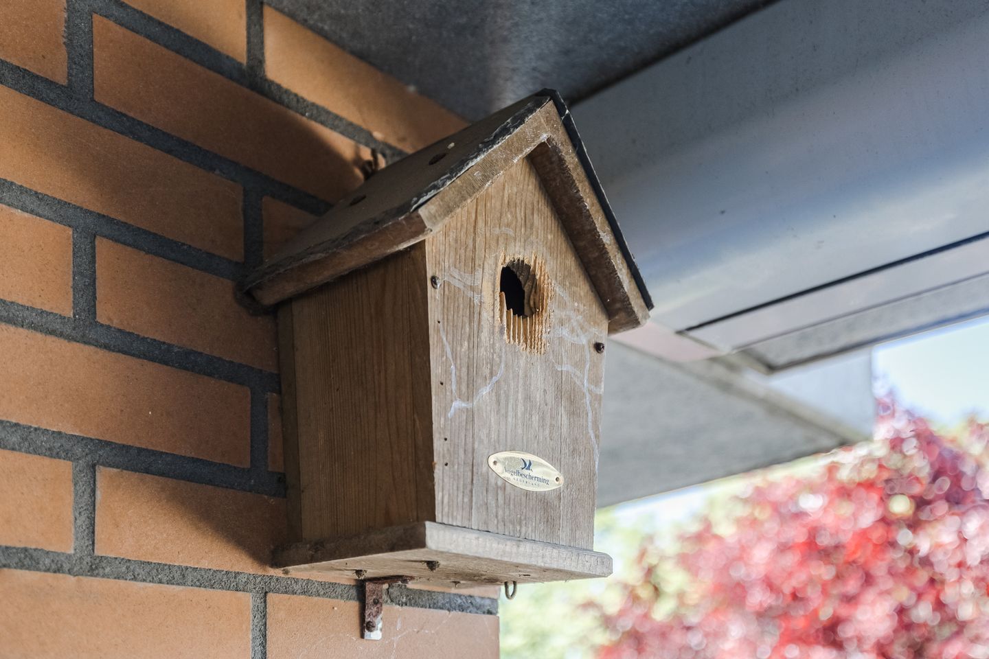 Foto 34 van Markt 1-16