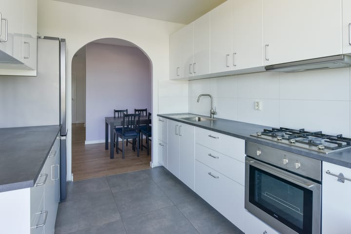 Foto 16 van Zilverschoon 66