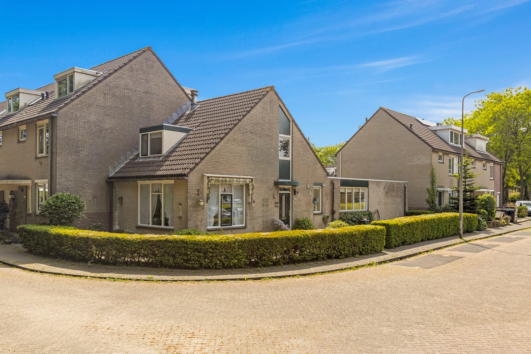 Photo 1 of Cantharel 18