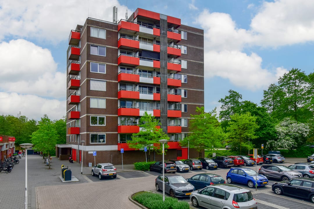 Photo 22 of Zilverschoon 66