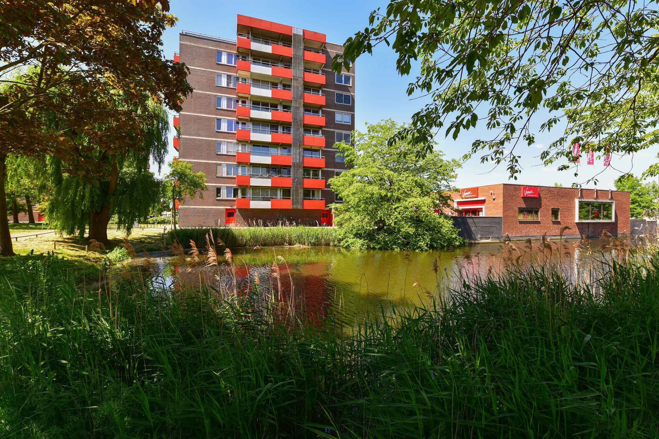 Photo 24 of Zilverschoon 66