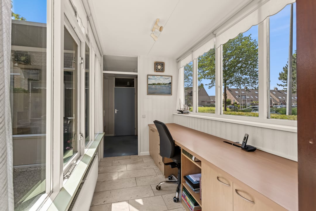 Photo 11 of Cantharel 18