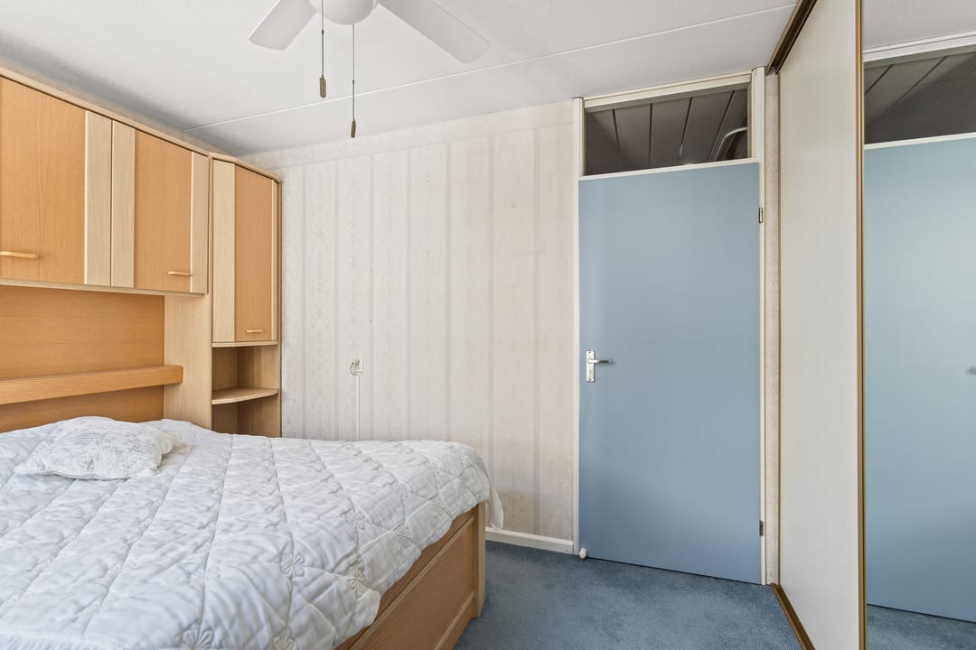 Photo 13 of Cantharel 18