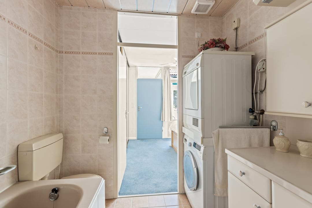 Photo 16 of Cantharel 18