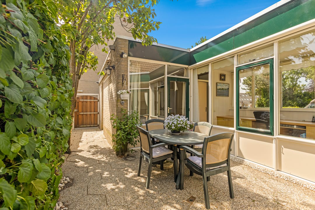 Photo 17 of Cantharel 18