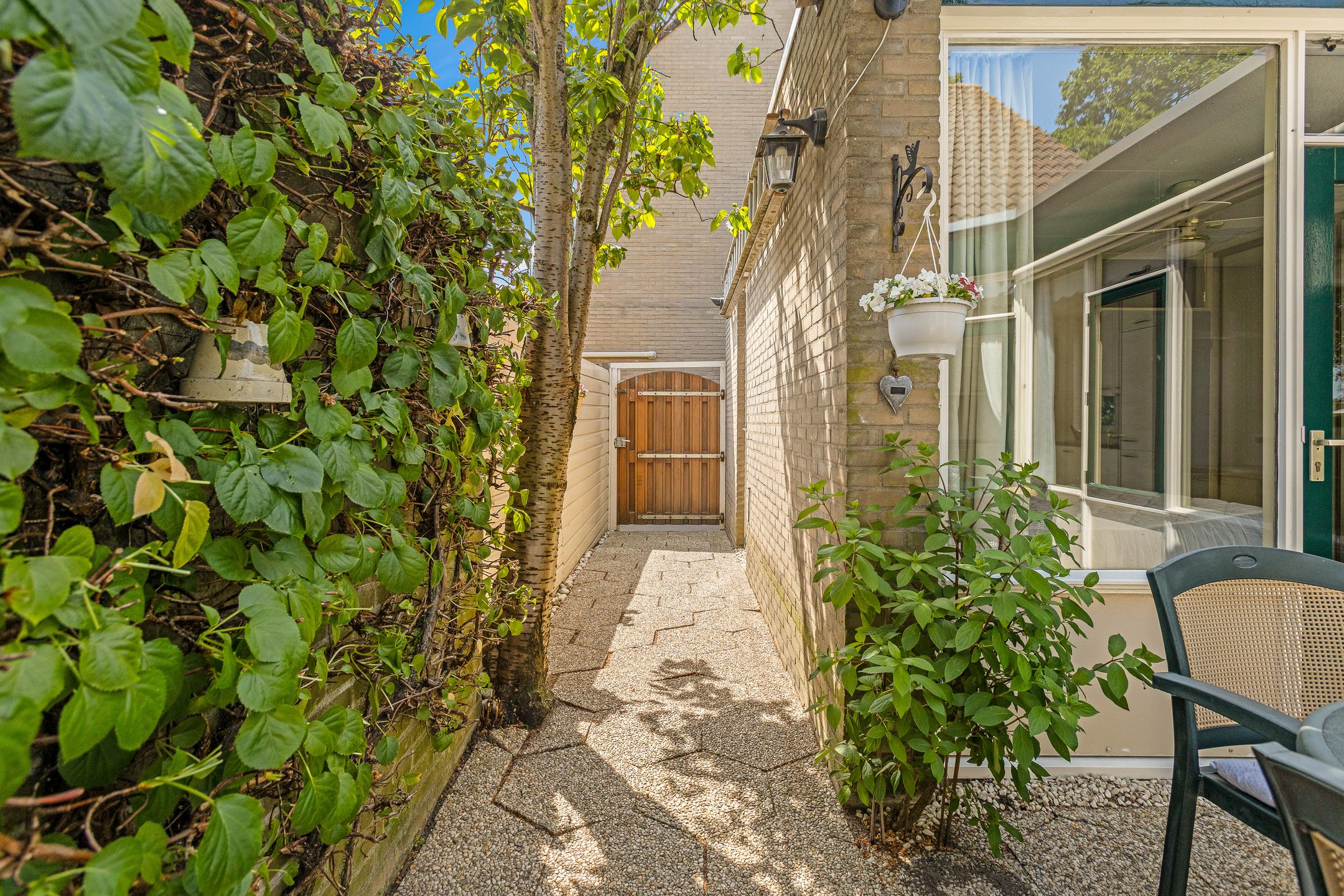 Photo 18 of Cantharel 18