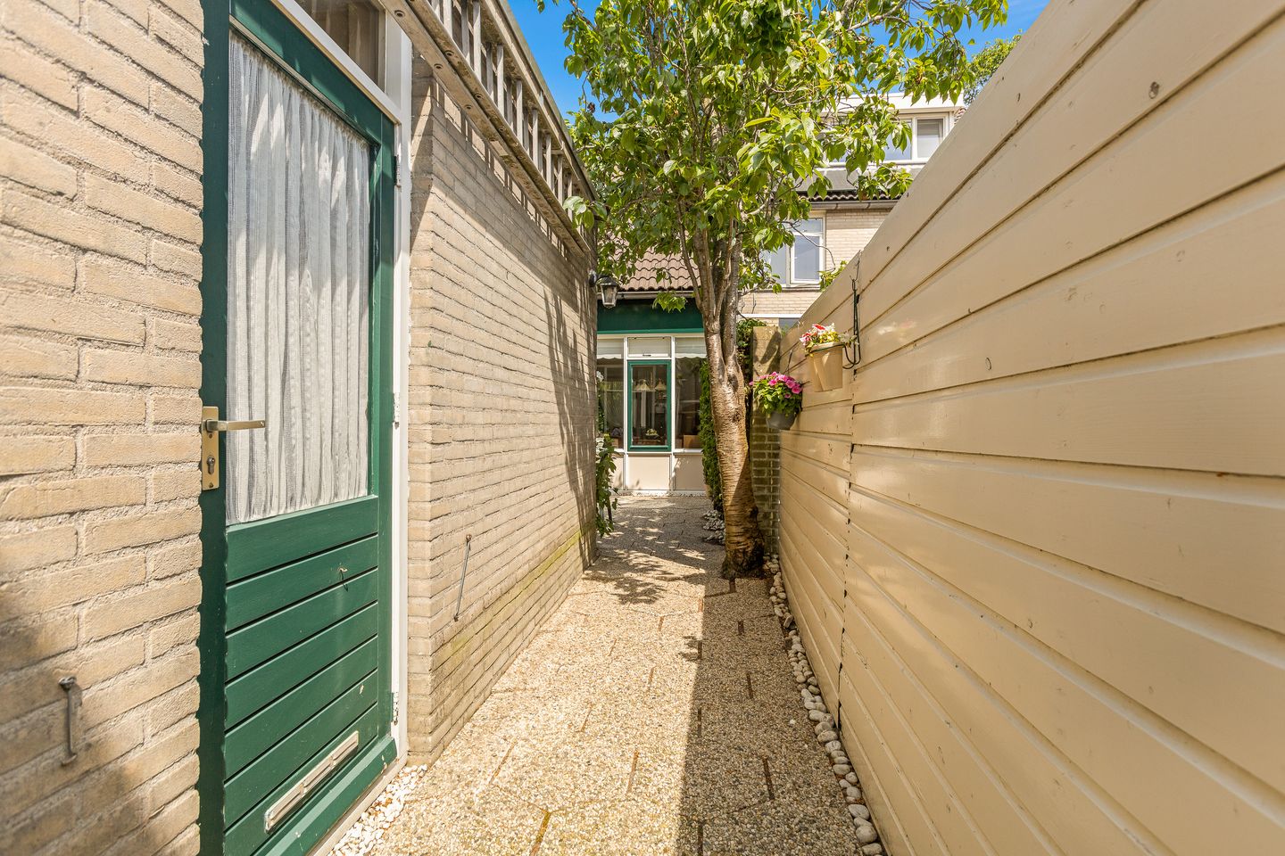 Photo 19 of Cantharel 18