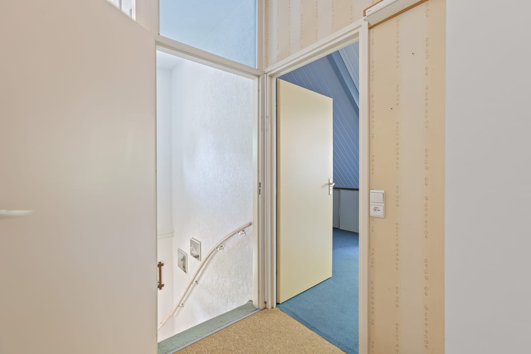 Photo 22 of Cantharel 18