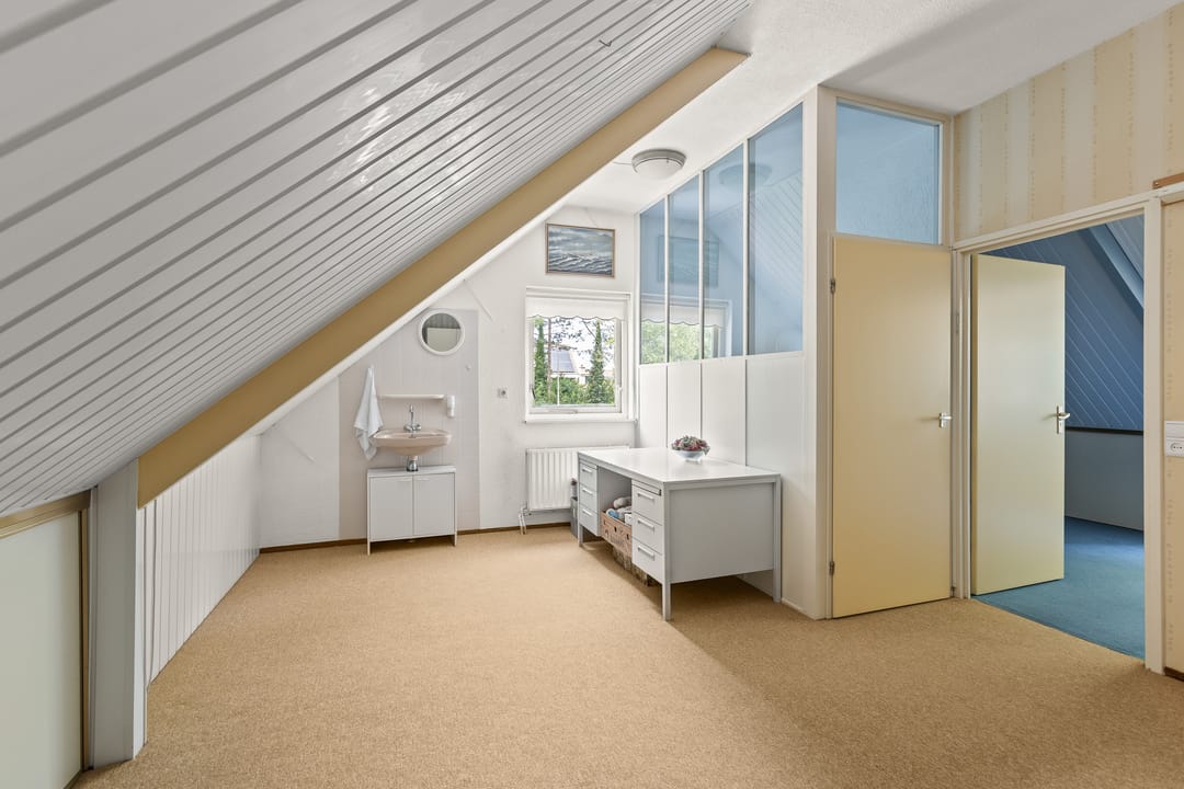 Photo 23 of Cantharel 18