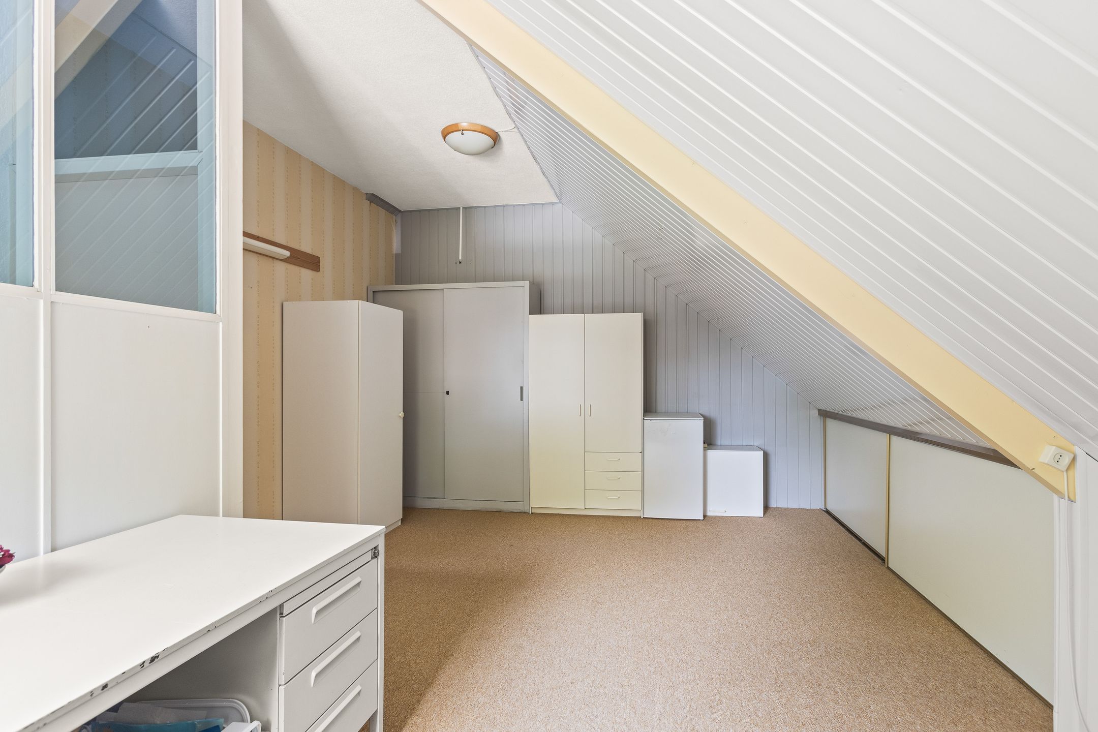 Photo 24 of Cantharel 18