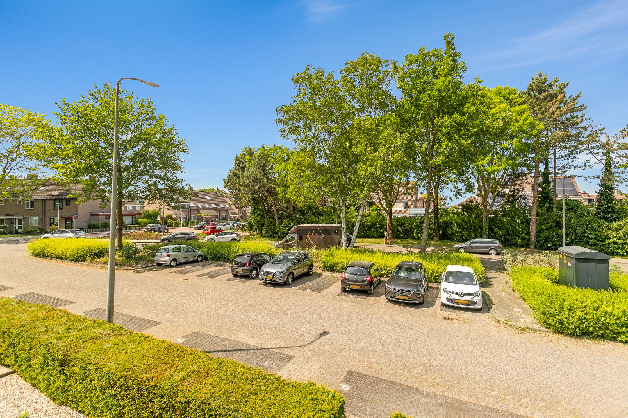 Photo 27 of Cantharel 18