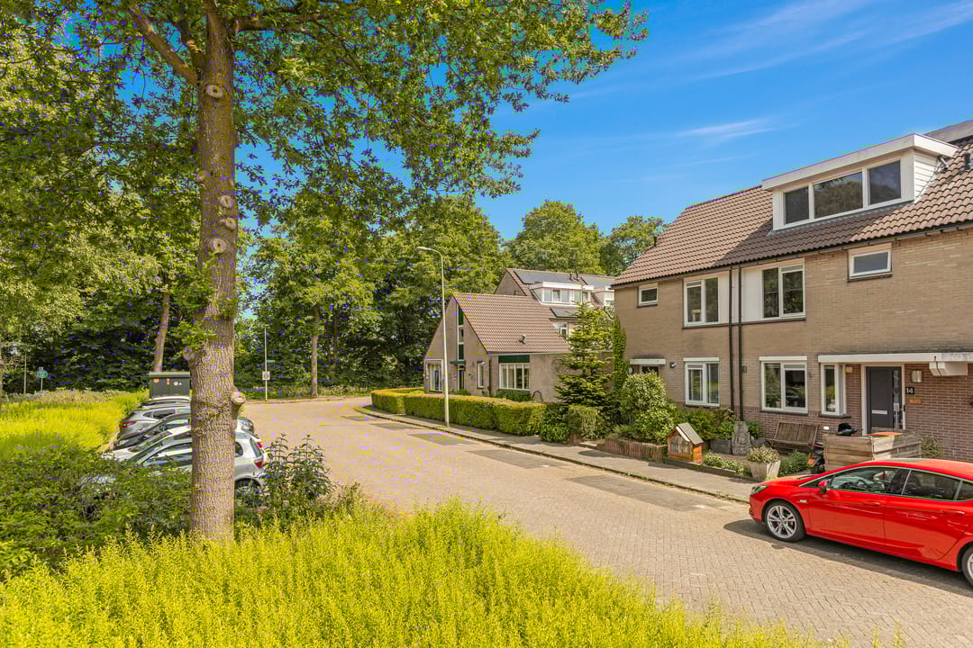 Photo 28 of Cantharel 18