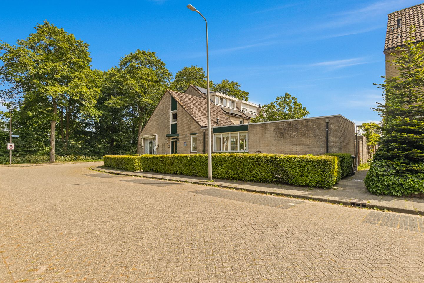 Photo 29 of Cantharel 18