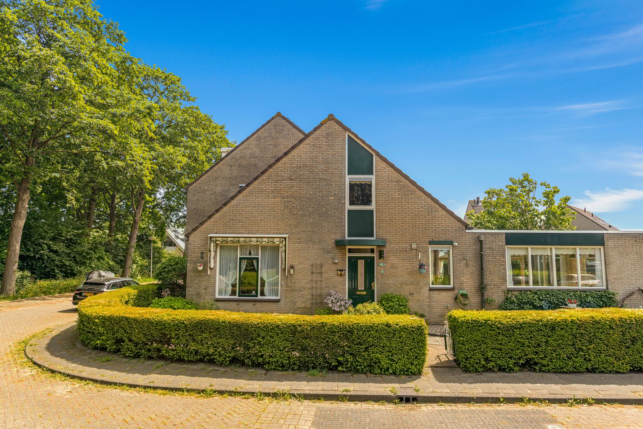 Photo 30 of Cantharel 18