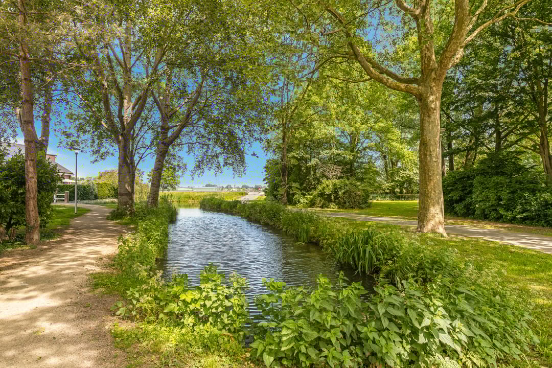 Photo 31 of Cantharel 18