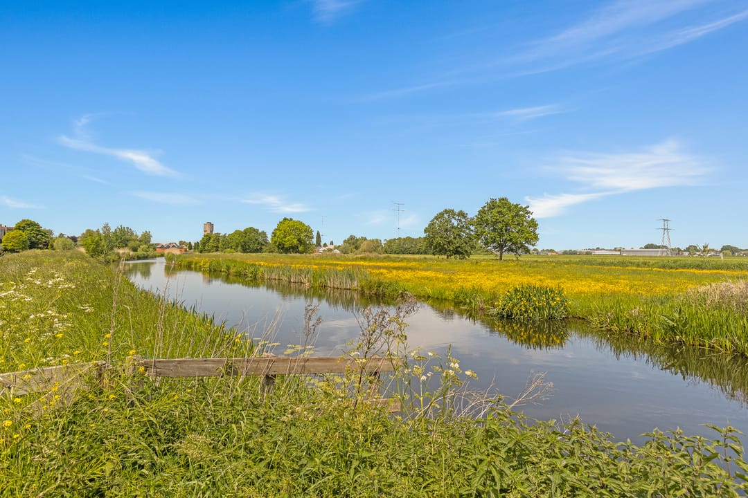 Photo 32 of Cantharel 18